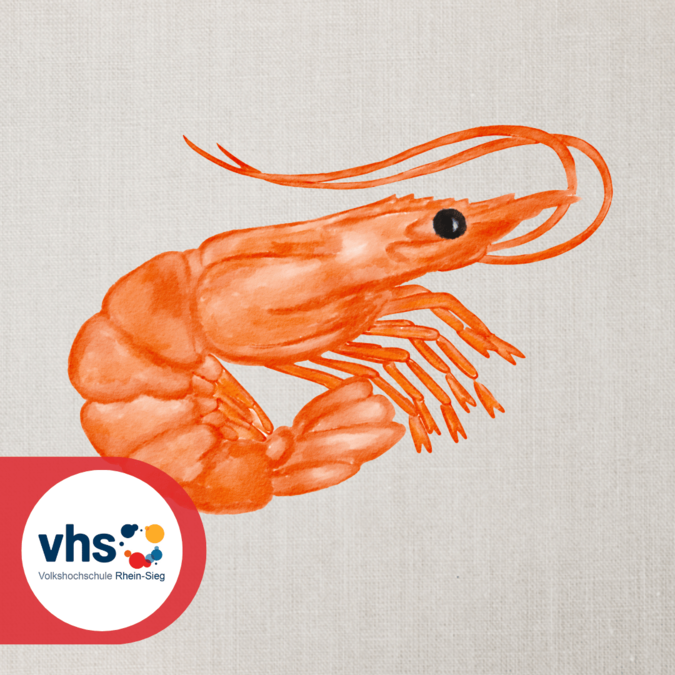 Garnele - VHS Rhein-Sieg Garnele