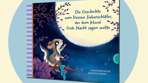 Cover des Bilderbuchs "Die Geschichte vom kleinen Siebenschläfer, der dem Mond Gute Nacht sagen wollte" von Sabine Bohlmann und Kerstin Schoene