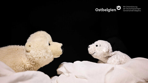 Kleiner Eisbär, wohin fährst du?