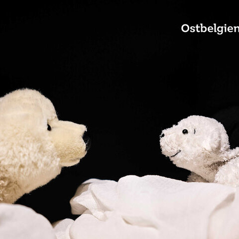 Kleiner Eisbär, wohin fährst du?