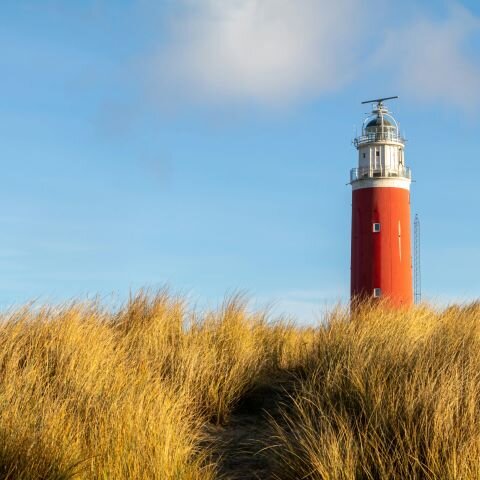 Texel Unsplash 1