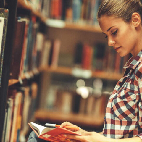 Arbeitsfeld Bibliothek 