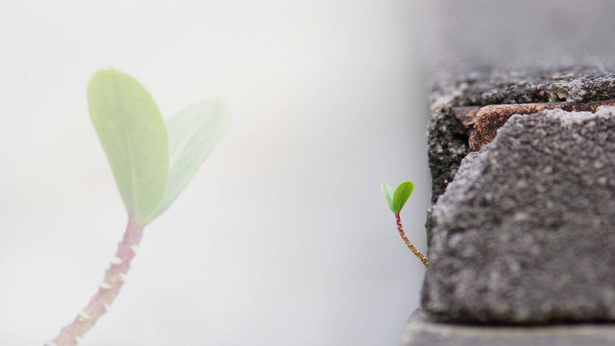 2026-05-31-Literaturwerkstatt
