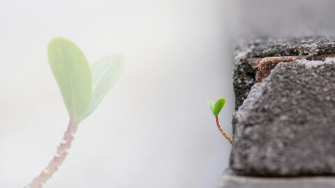 2026-05-31-Literaturwerkstatt