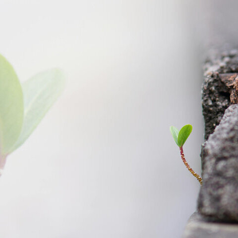 2026-05-31-Literaturwerkstatt