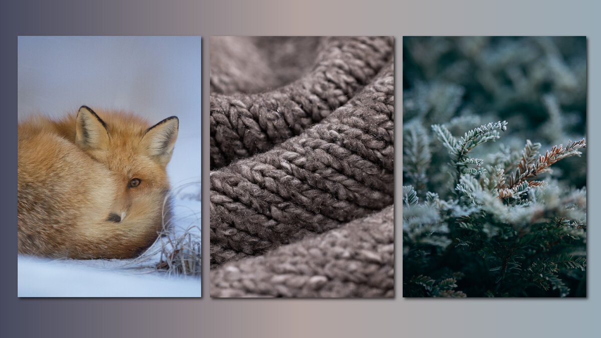 2025-11-23 - Stadtbibliothek Siegburg / Pixabay 2025-11-23