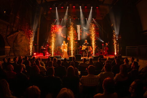 LOTR 8 (c) Star Entertainment-Lancelot Productions 2025