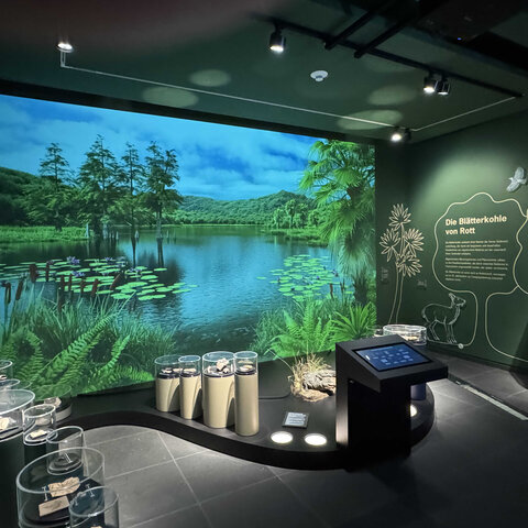 Die Abteilung zur Paläontologie im Stadtmuseum Siegburg.